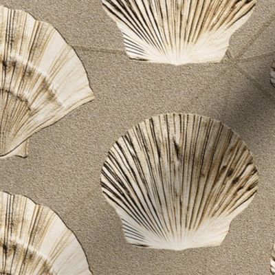 Aquatic Treasures Sea Shell Sand Imprint Geometric Beachy Pattern