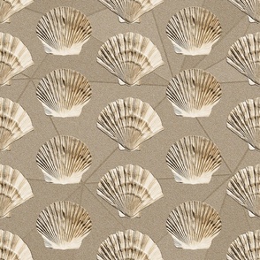 Aquatic Treasures Sea Shell Sand Imprint Geometric Beachy Pattern
