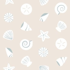 Sea Shells scatted on the coastal summer Beach, 8in, beige
