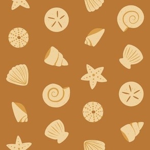 Sea Shells scatted on the coastal summer Beach, 8in, brown