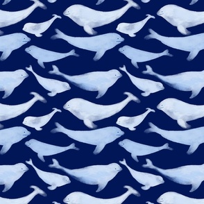 Beluga Whale - Dark Blue - Small