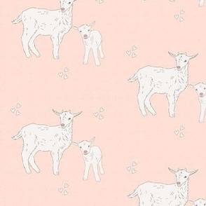 Pink farm, goat, linen texture
