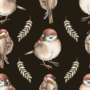 Bird sparrows. Hand drawn realistic watercolor painting - Dark background - MEDIUM scale