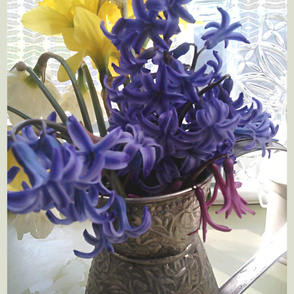 Wall hanging - Daffodils hyacinth - still life