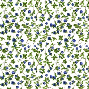 Small A Lovely Blueberry Field, Blueberries Fields Wallpaper 2