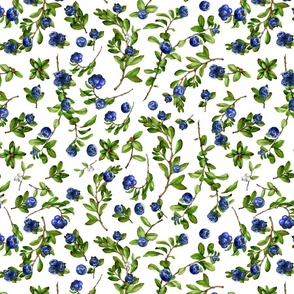 Large A Lovely Blueberry Field, Blueberries Fields Wallpaper 2