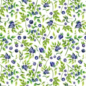 Large A Lovely Blueberry Field, Blueberries Fields Wallpaper