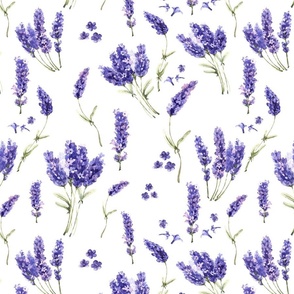 Large -  A Fragant Watercolor Lavender Field, Lavender Fields Wallpaper
