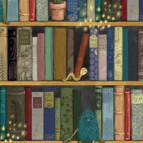 The Magical Bookshelf