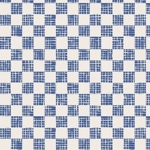 Sketchy Checker_ Blue and Off White