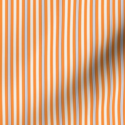 COASTAL stripe orange