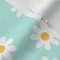 Daisies on aqua mint background color 41