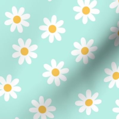 Daisies on aqua mint background color 41