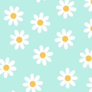 Daisies on aqua mint background color 41