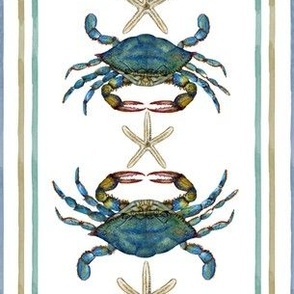 Coastal creatures, blue crab and Starfish with nautical stripe