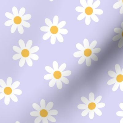 White Daisies on Lavender color 31