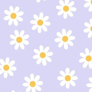 White Daisies on Lavender color 31