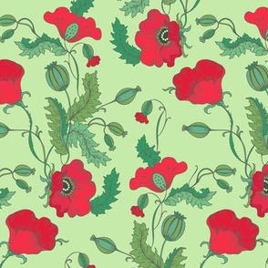 Papaver in bloom_ pist green