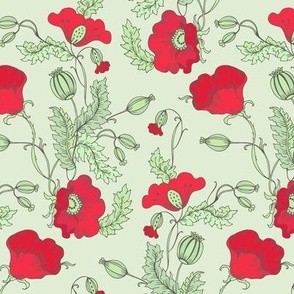 Papaver in bloom_ red olive gr