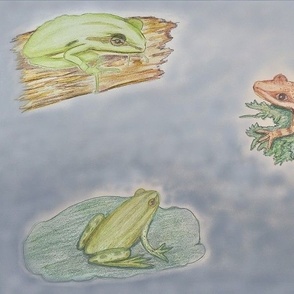 Frog Colored Pencil Drawings