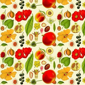 Warm Botanical Print