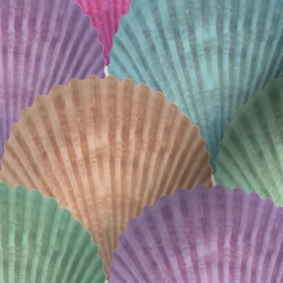 Pastel Seashells