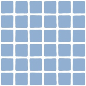 Blue Grid Windowpane Squares in Blue-Gray and White - Large - Boy's Room, Coastal Grandmother, Blue-Gray Checks