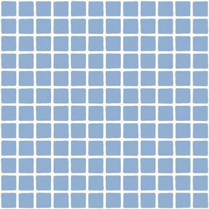 Blue Grid Windowpane Squares in Blue-Gray and White - Medium - Boy's Room, Coastal Grandmother, Blue-Gray Checks
