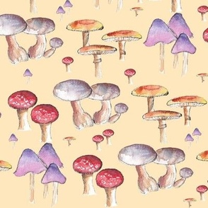 Mushrooms Cream
