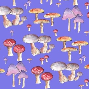Mushrooms Purple