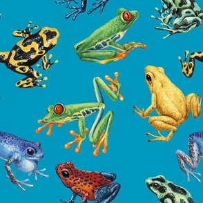 Frogs on  blue