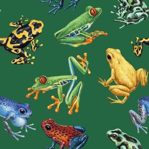 Frogs on emerald green