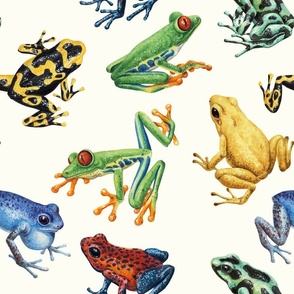 Frogs on natural white