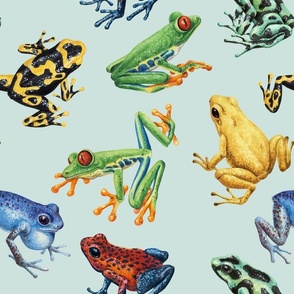 Frogs on light blue