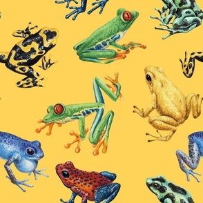 Frogs on yellow