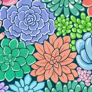 Succulent Flower Bed Botanical - Colorful - Large Scale