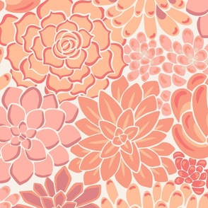 Peachy Pastel Succulent Pattern - Large Scale  