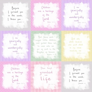 Baby Bible Scriptures cheater quilt 6" blocks - baby girl palette