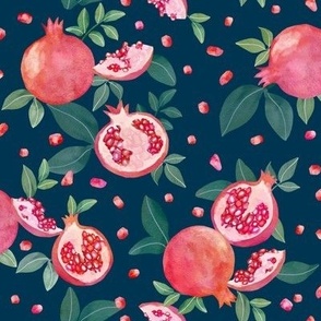 Watercolor pomegranate-navy