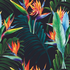 Tropical Delight Half Black