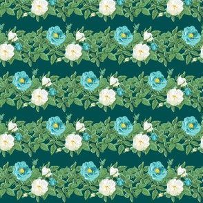 Aqua and white rose on teal