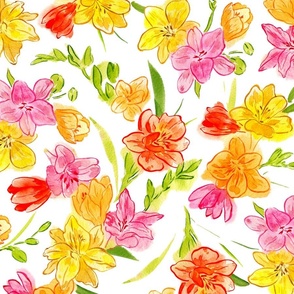 Large Stylised Watercolor Bright and Fresh  Freesias in Pink, Yellow, Orange  with White Background