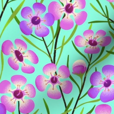 Bright pink and purple native flowers on aqua with trailing leaves