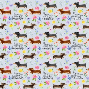 Dachshund Floral//I love you leaps & hounds//Blue - Med
