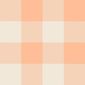 Peach Fuzz Gingham Checks Pantone Color of the Year 2024 - Large Scale 