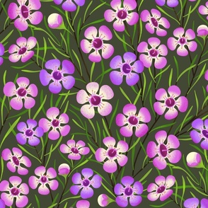 Bright pink and purple native flowers on dark green with trailing lime green leaves