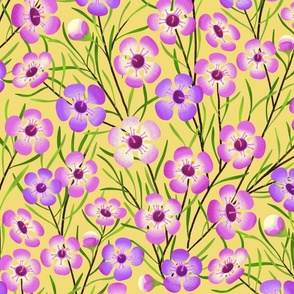 Bright pink and purple native flowers on lemon yellow with trailing lime green leaves