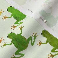 Leap Frog [MEDIUM SCALE}