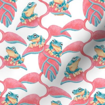 Tropical Frog and Lobster-Claws - on white, small 