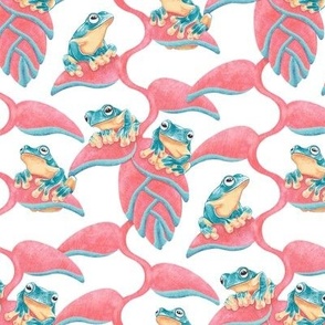 Tropical Frog and Lobster-Claws - on white, small 